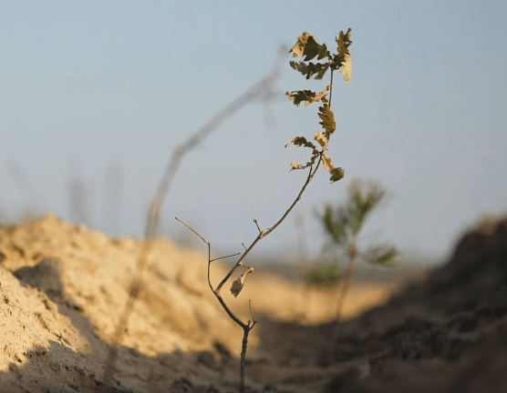 Высокая репутация